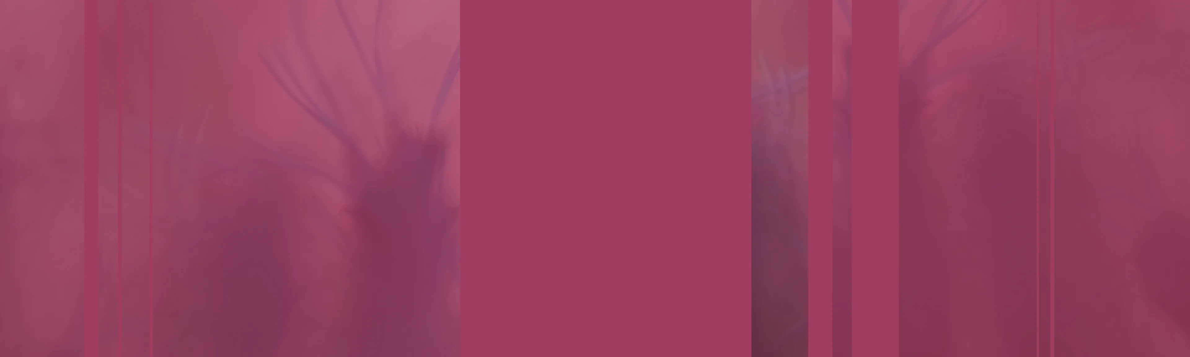 Hero background